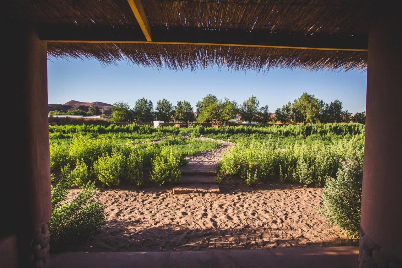 Eco-Lodge El Andinista Сан-Педро-де-Атакама Екстер'єр фото